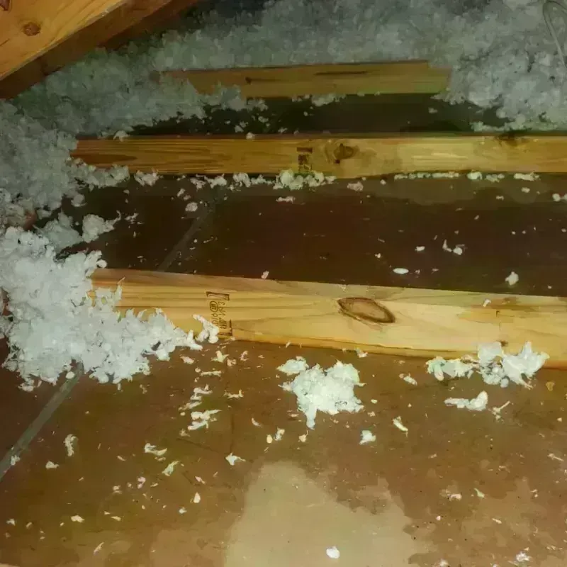 Attic Water Damage in Big Sandy, TX