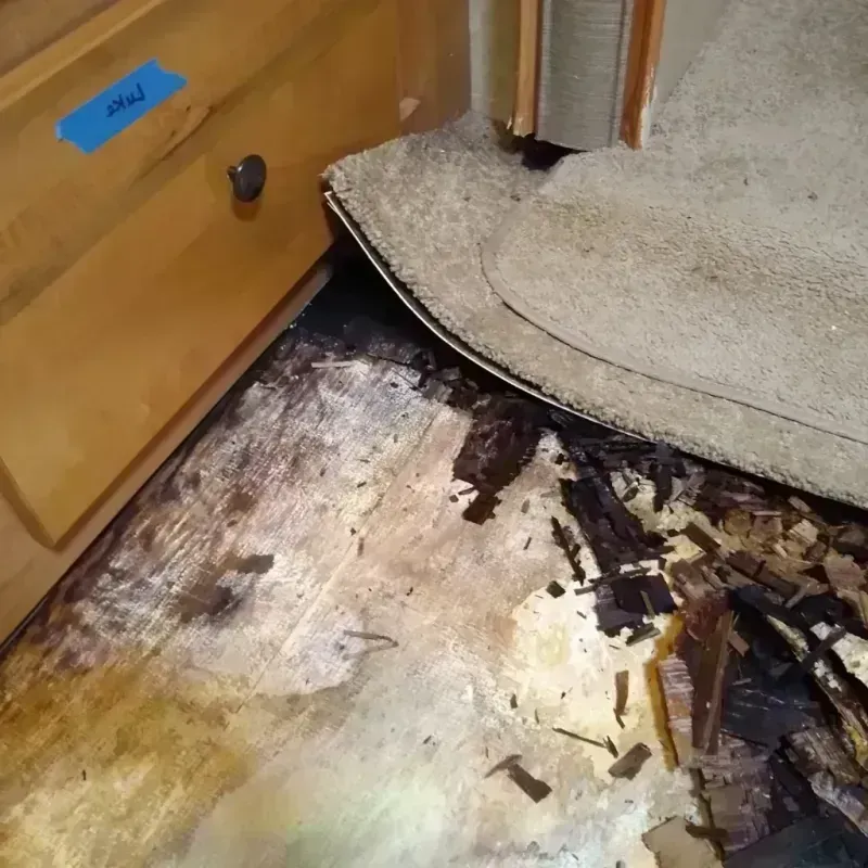 Wood Floor Water Damage in Big Sandy, TX